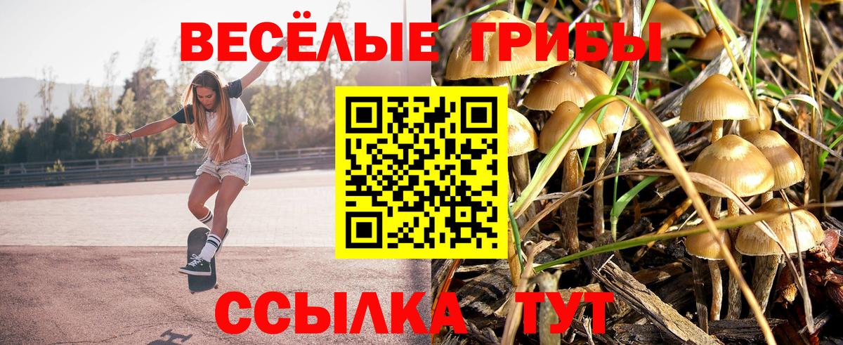 Галлюциногенные грибы прущие грибы Боровичи