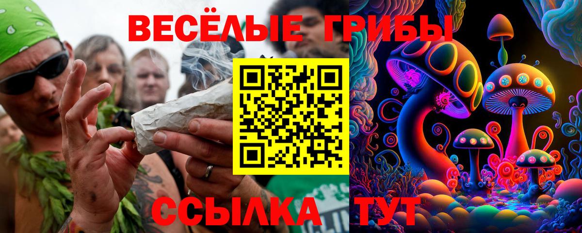 Галлюциногенные грибы Cubensis  Вход с VPN  Боровичи  Псилоцибиновые грибы Psilocybine cubensis 